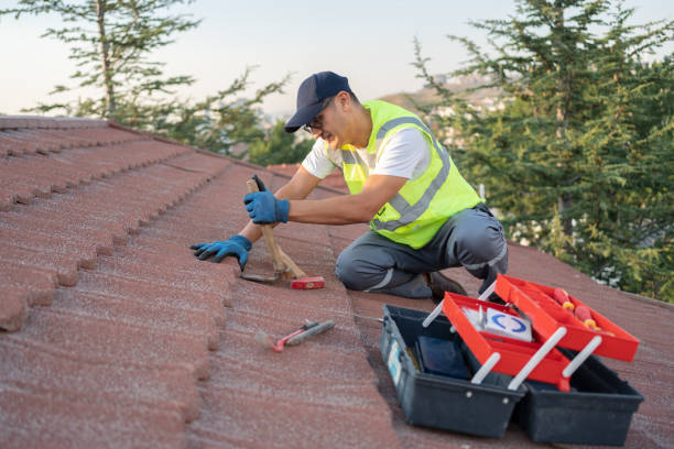 Best Roof Leak Repair  in Temple Terrace, FL