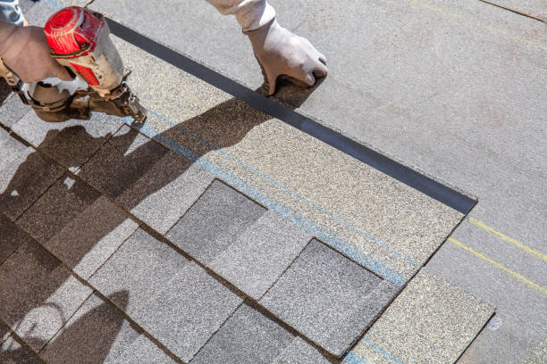 Best Residential Roofing Contractor  in Temple Terrace, FL